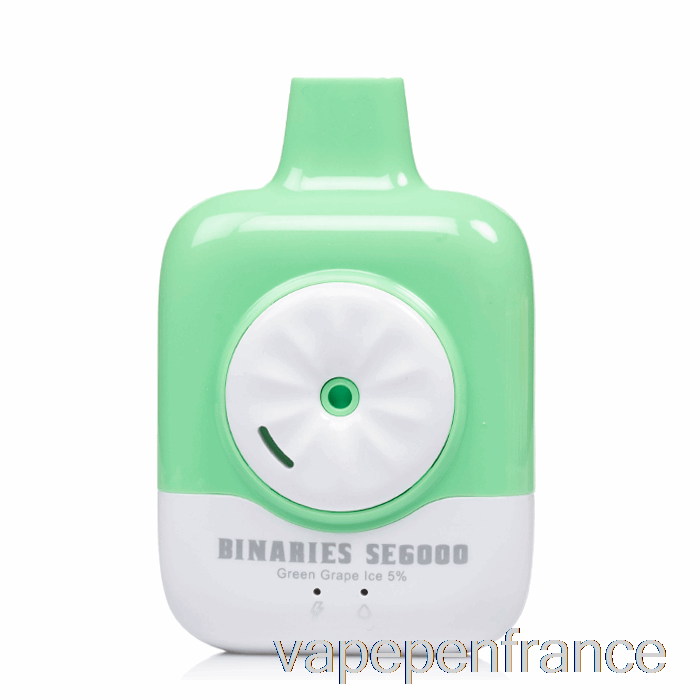 Horizon Binaires Se6000 Stylo Jetable De Vape De Glace De Raisin Vert